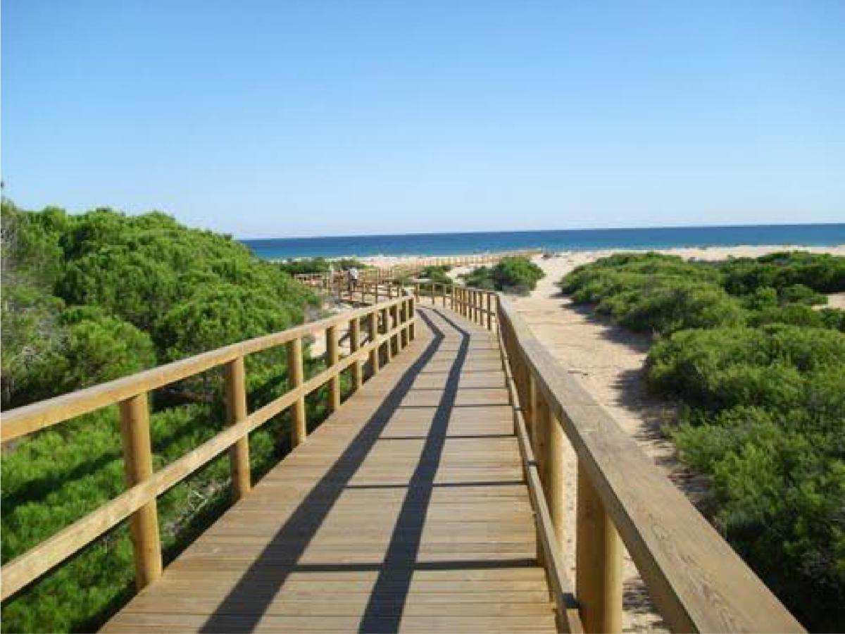Casa De Kiwi Villa Santa Pola Dış mekan fotoğraf